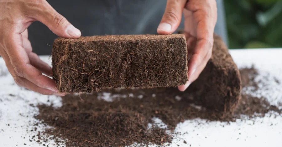 Cocopeat2 Cocopeat2